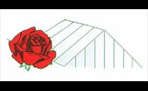 Jentsch Fritz, Inh. Markus. Kindler