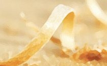 Schimmöller, Atelier Innenausbau