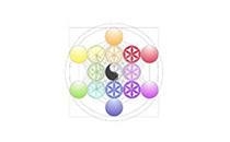 Homöopathisches Zentrum - Dr. Gudrun Hasler & Dr. Elsebeth Duwe - Homöopathie nach Gienow