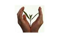 Biernat Heike Physiotherapie