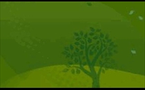 Krausse Michael Schreinerei