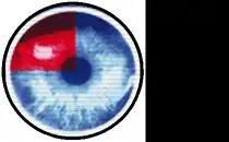 Gemeinschaftspraxis Dipl.-Med. Elke Burghardt Dr. med. Andrea Kretschmann Dipl.-Med. Marina Müller