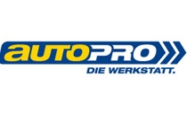 Fritsch & Witt GbR Freie KFZ-Werkstatt