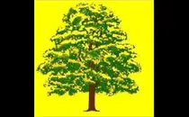 Götz Holzbau Zimmerei, Dachdeckungen