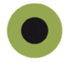 SehRausch Optik GmbH