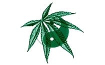 Hanf Lutz Dr. med. Anästhesist