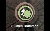 Blumen Brammen
