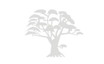 Cornelia von Herder und Wiebke Wenderhold-Rühl Dr. Frauenärztinnen