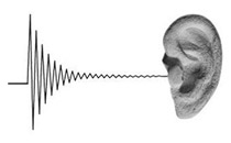Freitag Mathias Dr.med. Hals- Nasen- Ohrenarzt