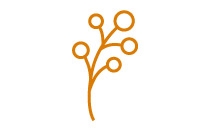 Dickel Ulrike Dr. u. Lietzke Heidi