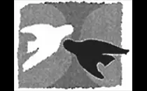 Bollmann Walter Dr.med., Brückner Thomas Dr.med., Noss Ulrich Dr.med. Noss Daniel, Dr.med., Medizinisches Versorgungszentrum